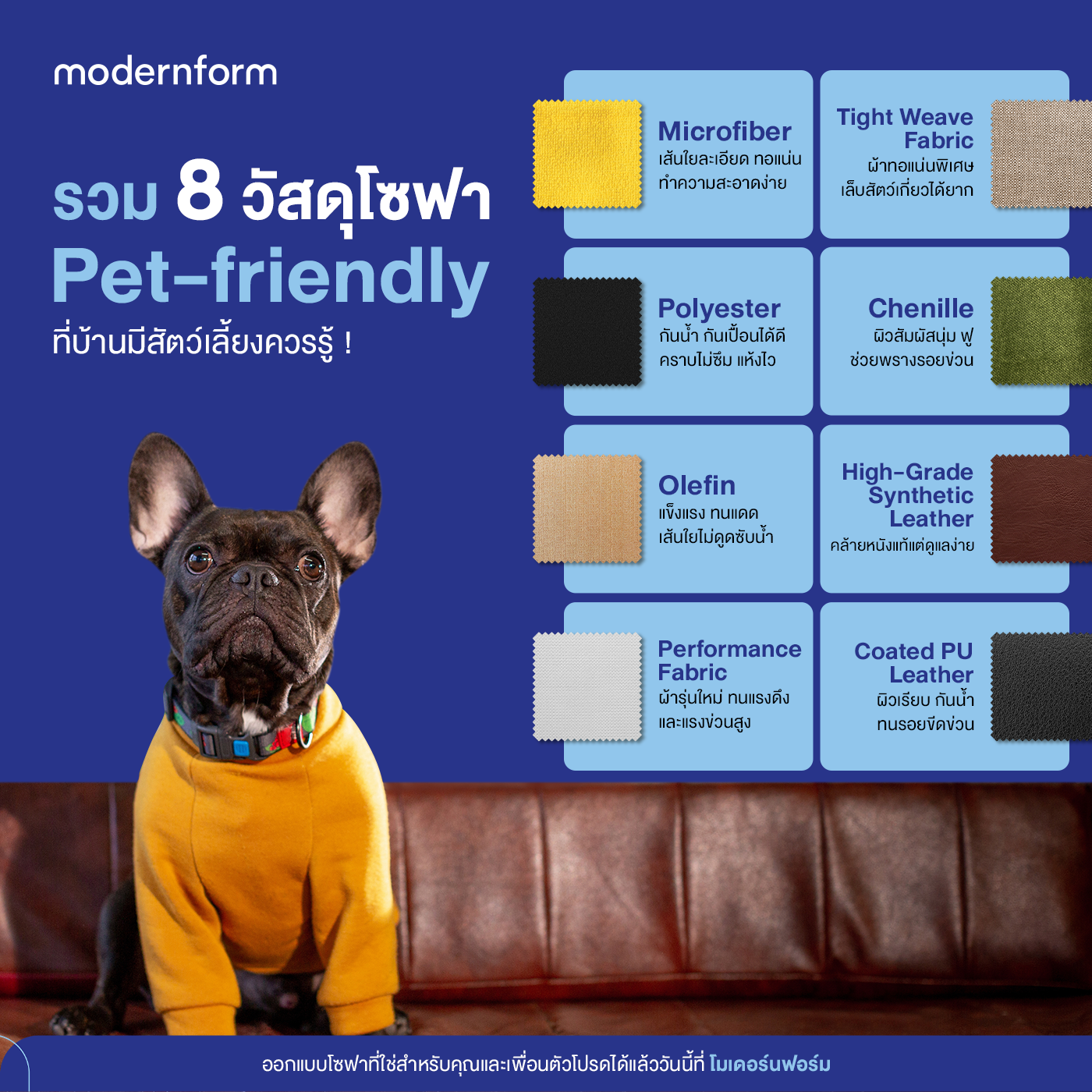 8 วัสดุโซฟา Pet-friendly ที่ทั้งทน ดูแลง่าย และเหมาะกับบ้านมีสัตว์เลี้ยง