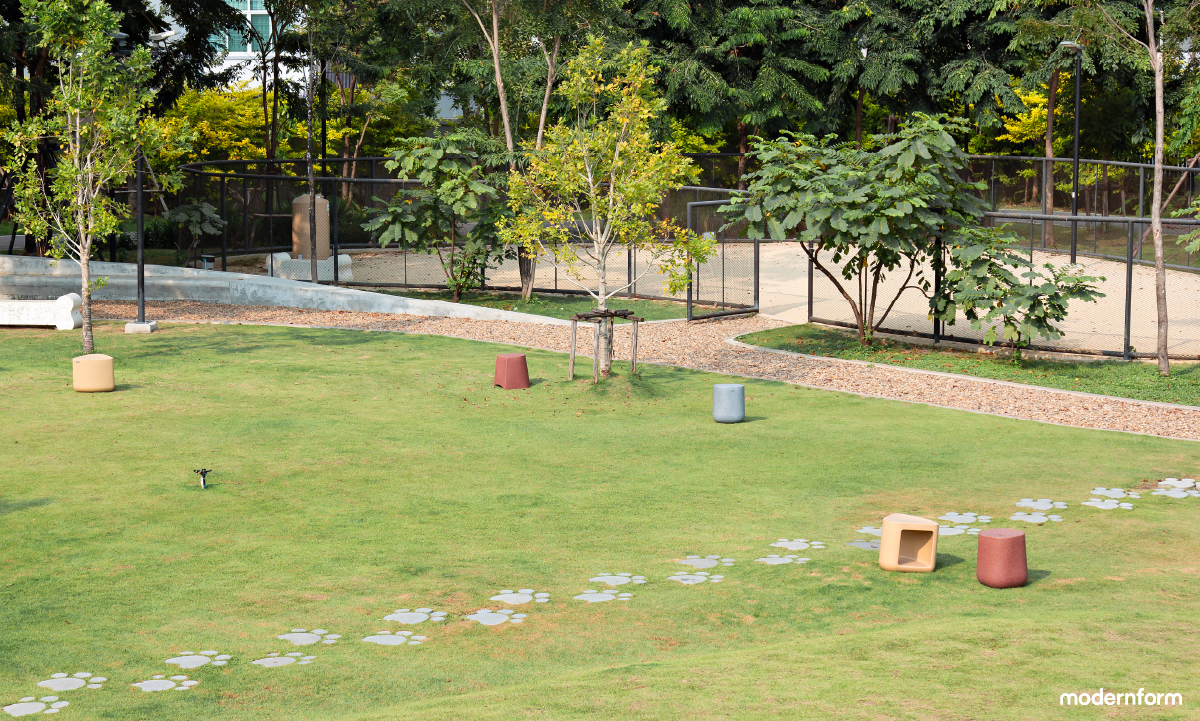 Dog-Park-สวนเทียนทะเลพัฒนา-(2).jpg