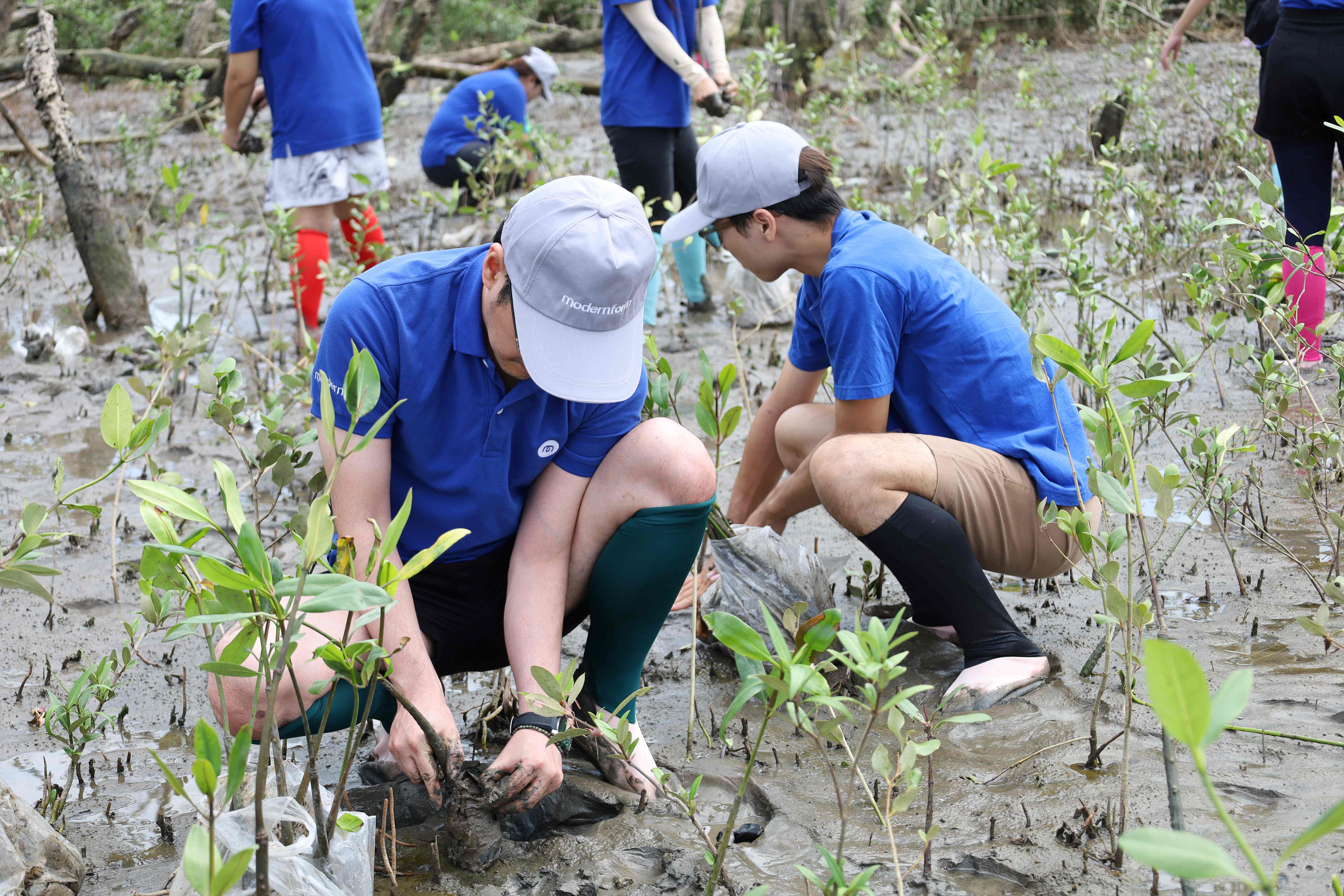 5.Modernform-ปลูกป่า-บางปู-ดูนก.jpg